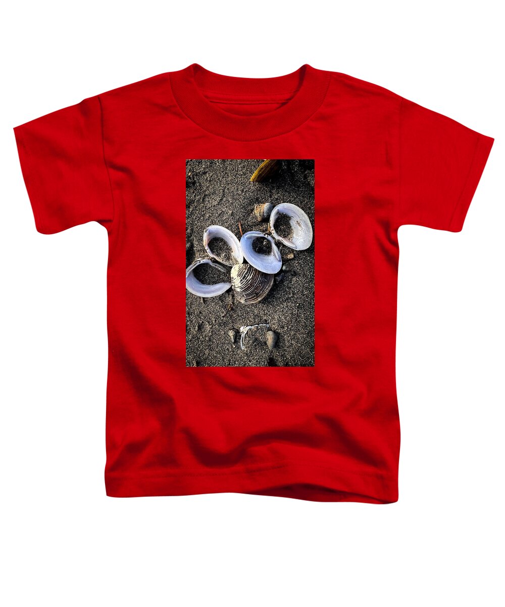 Seashells 6 - Toddler T-Shirt