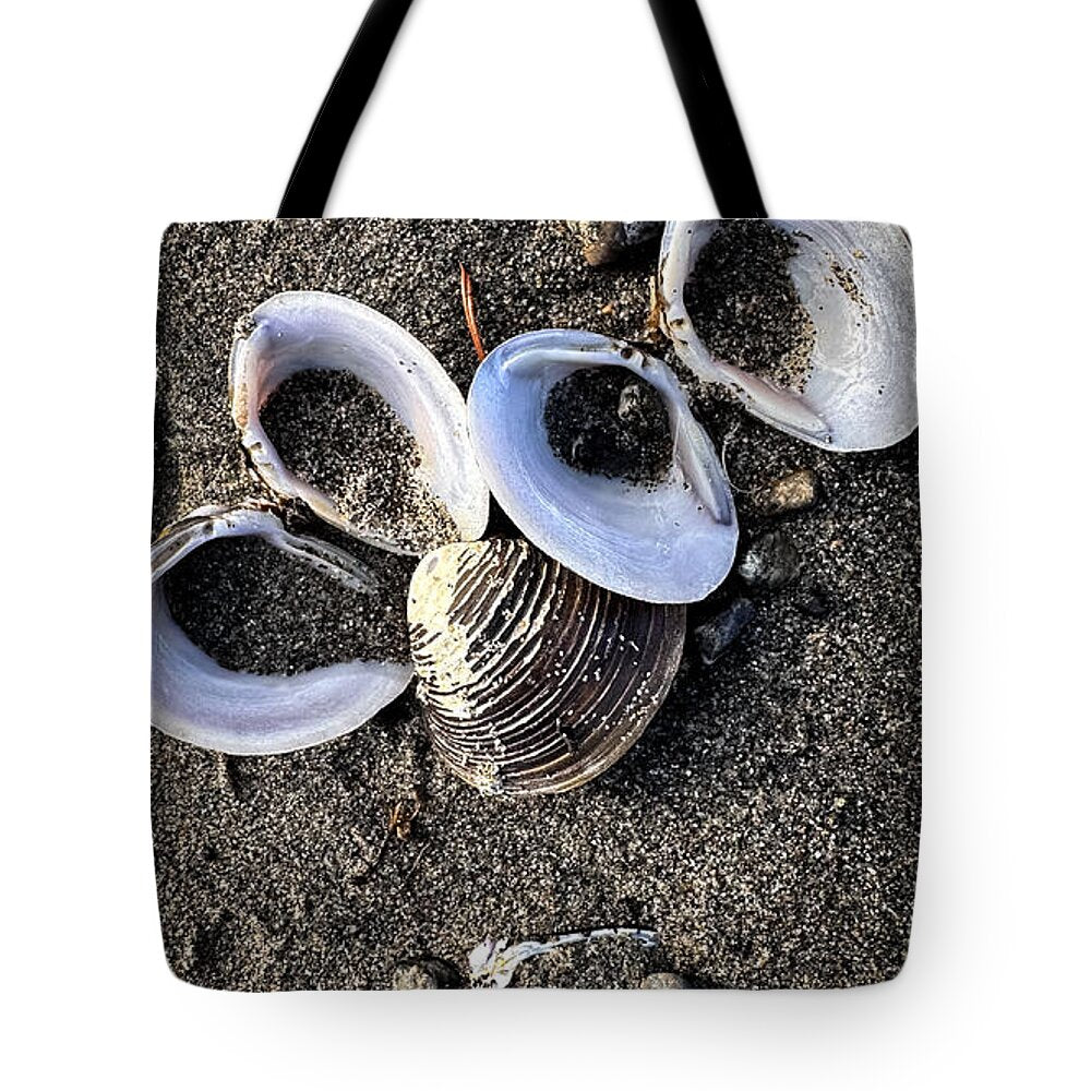Seashells 6 - Tote Bag