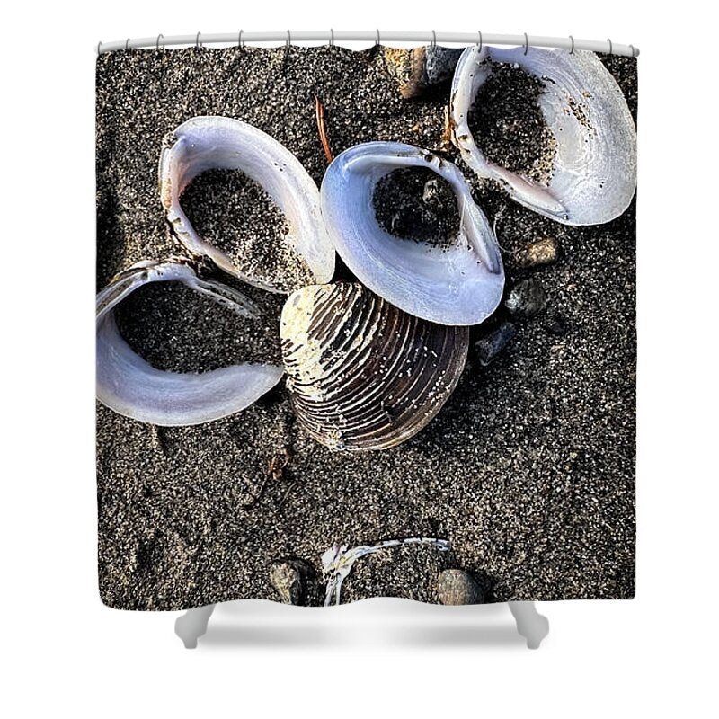 Seashells 6 - Shower Curtain