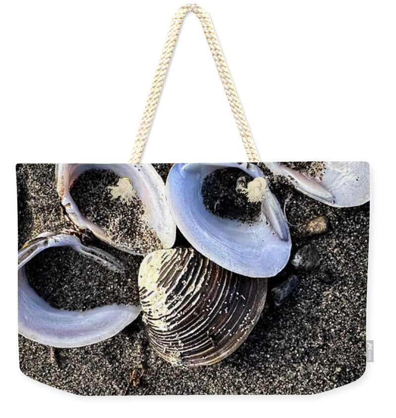Seashells 6 - Weekender Tote Bag