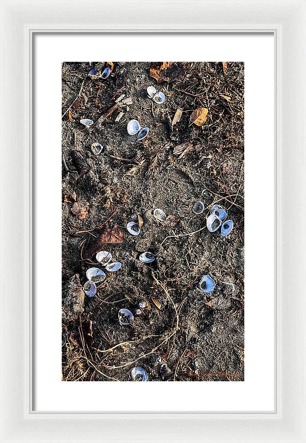 Seashells on the beach - Framed Print