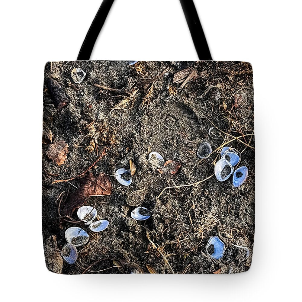 Seashells on the beach - Tote Bag