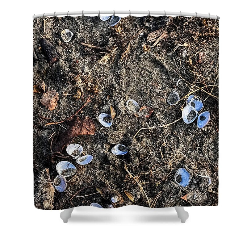 Seashells on the beach - Shower Curtain