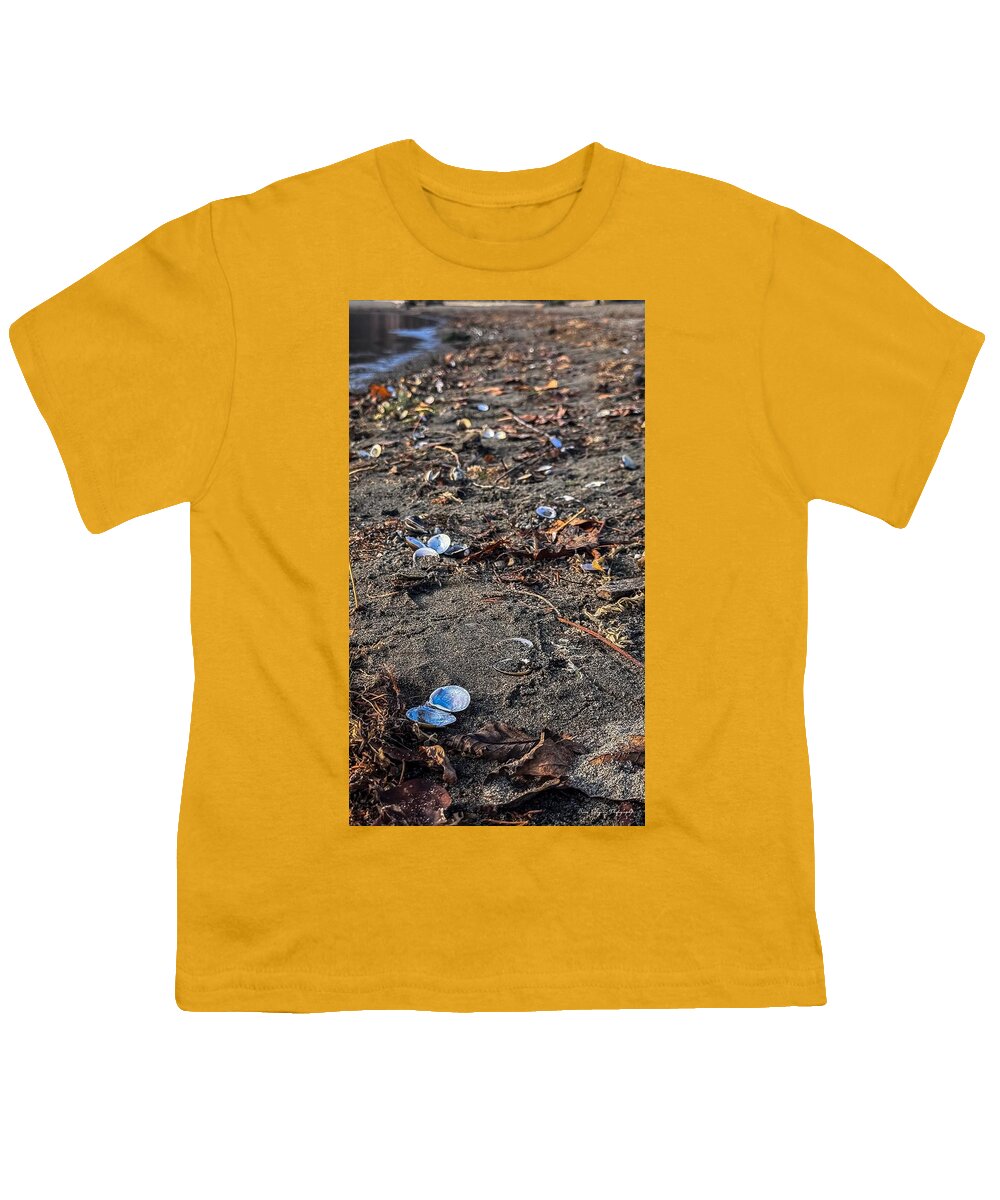 Seashells on the shoreline - Youth T-Shirt