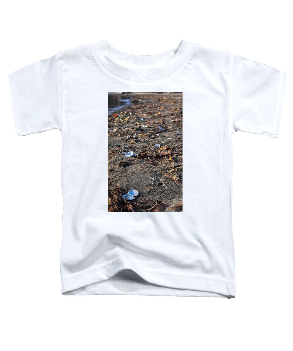 Seashells on the shoreline - Toddler T-Shirt
