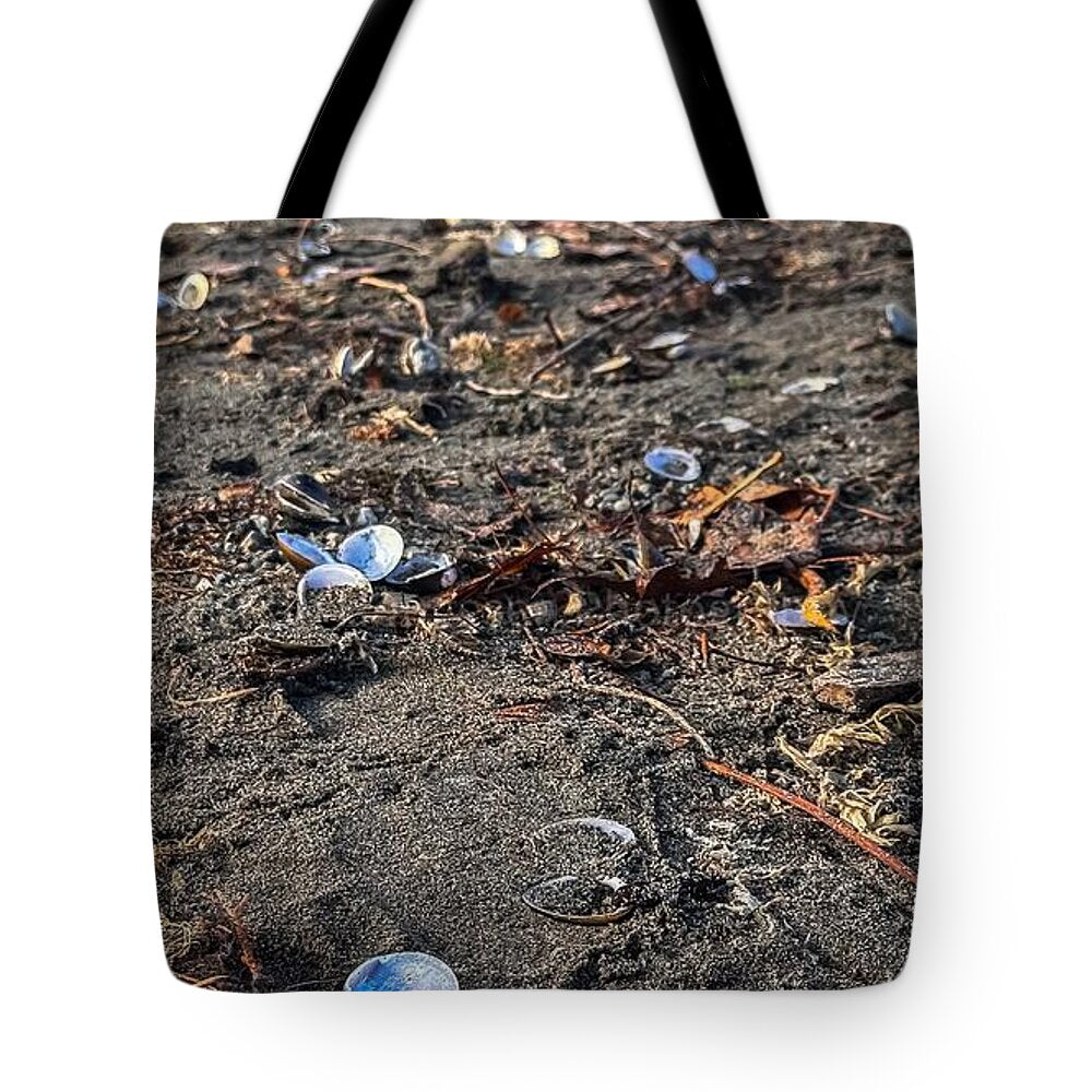 Seashells on the shoreline - Tote Bag