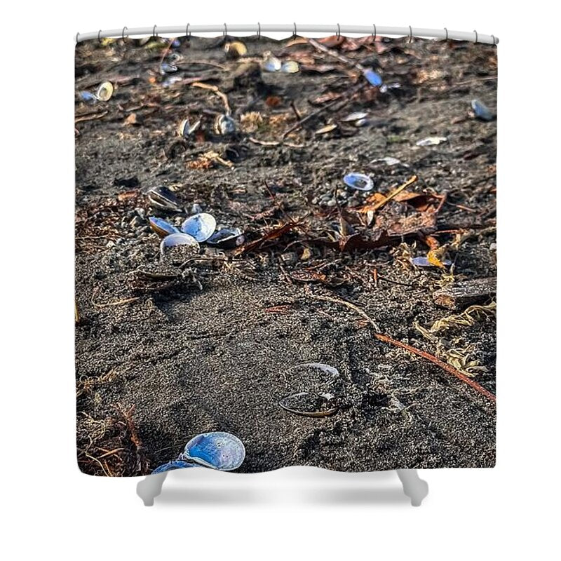 Seashells on the shoreline - Shower Curtain