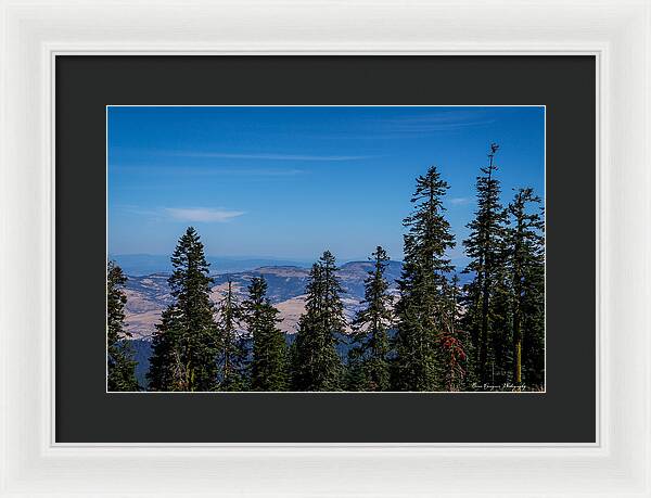 Threw the trees - Framed Print