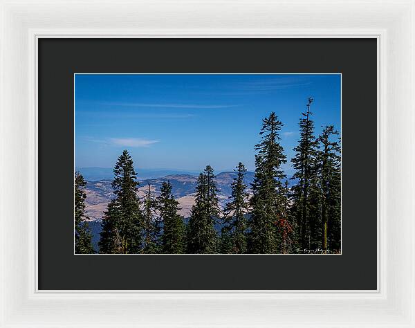 Threw the trees - Framed Print