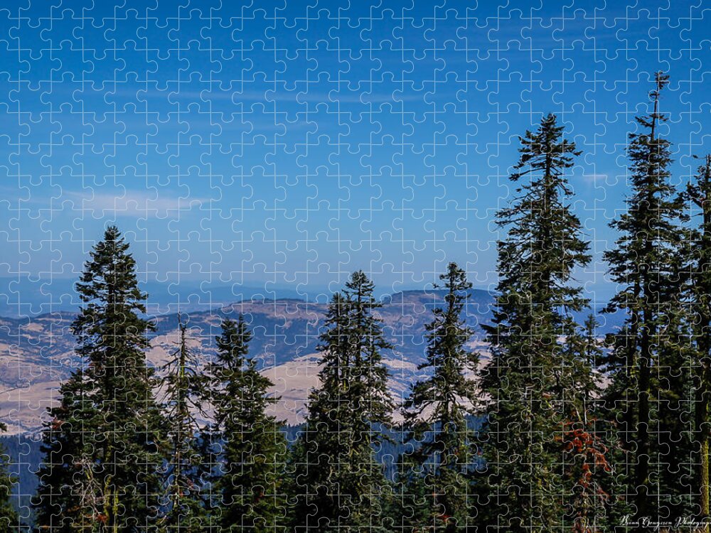 Threw the trees - Puzzle