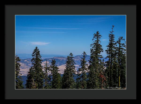 Threw the trees - Framed Print