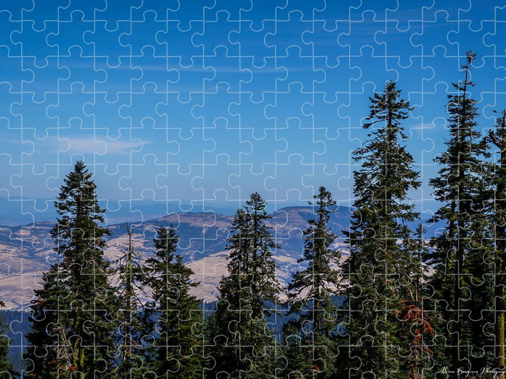 Threw the trees - Puzzle