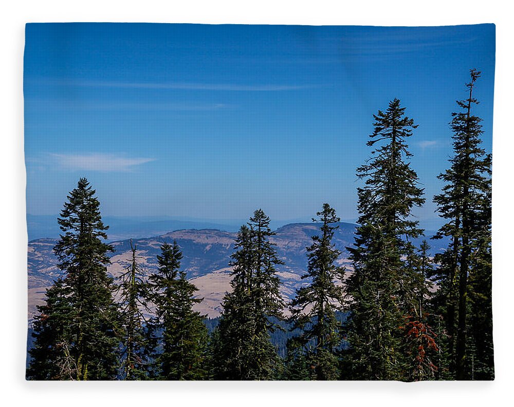 Threw the trees - Blanket