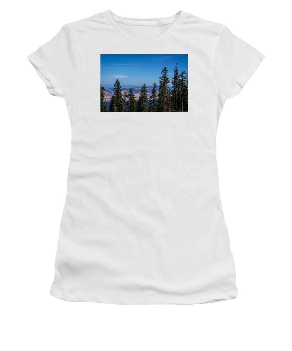 Threw the trees - Women's T-Shirt