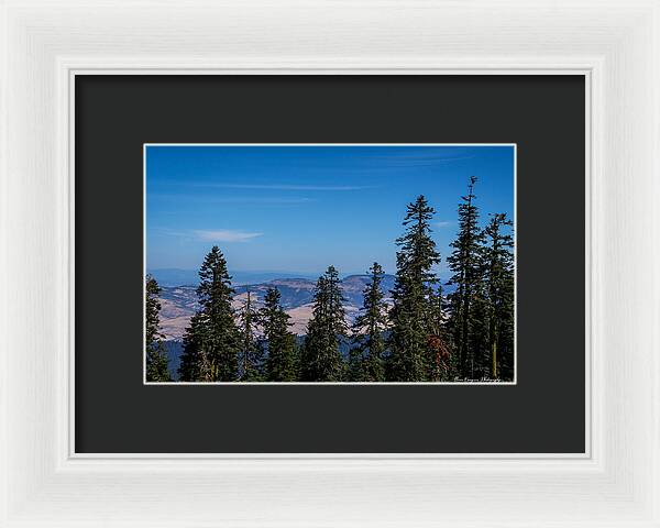 Threw the trees - Framed Print