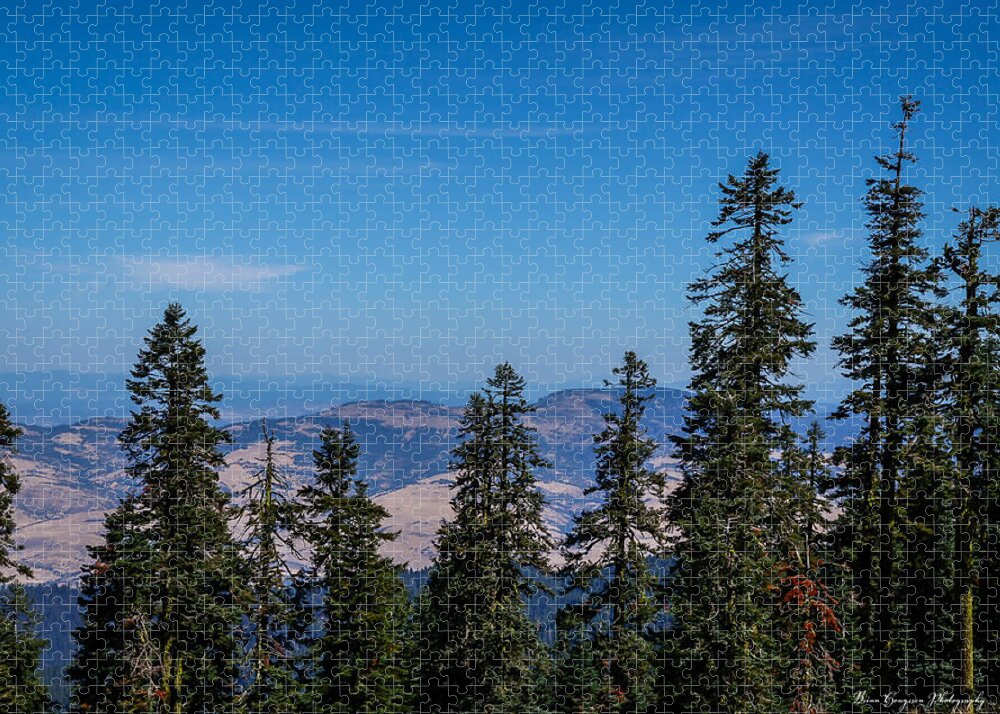 Threw the trees - Puzzle