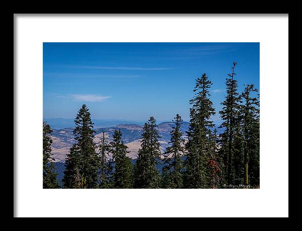 Threw the trees - Framed Print