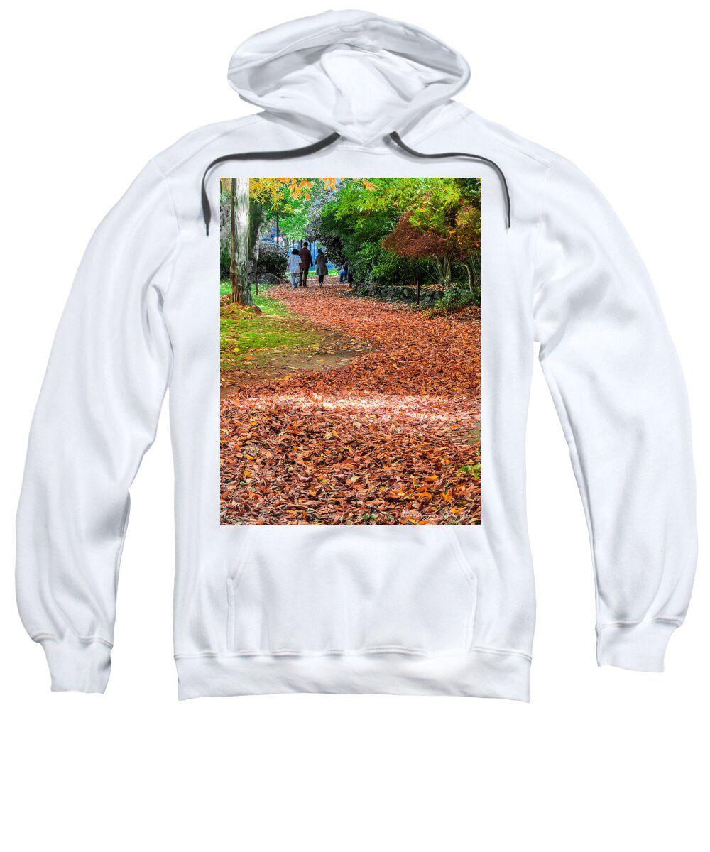 Walk along the park - Sweatshirt