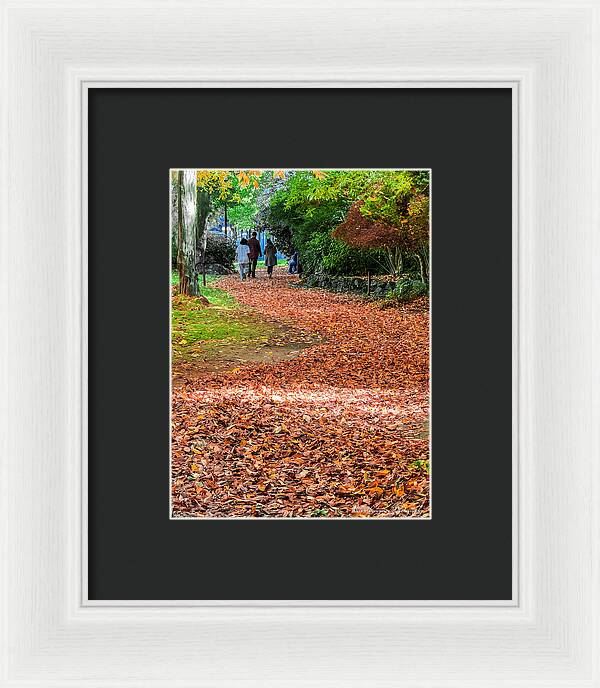 Walk along the park - Framed Print