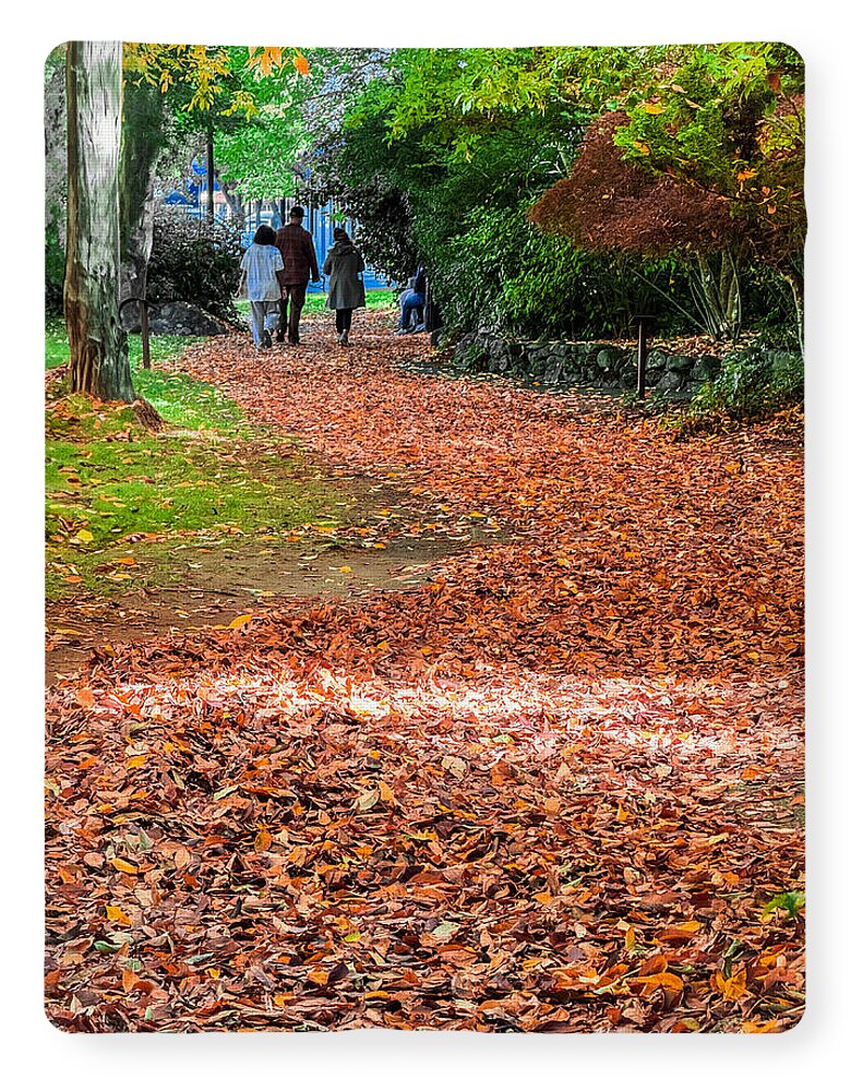Walk along the park - Blanket
