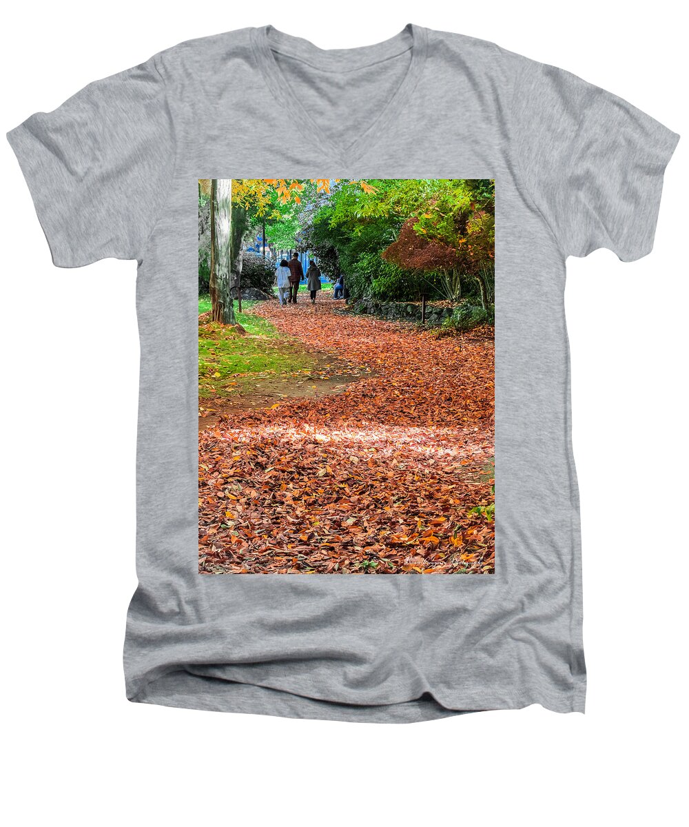 Walk along the park - Men's V-Neck T-Shirt
