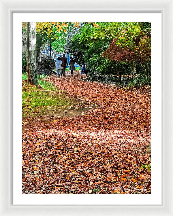Walk along the park - Framed Print
