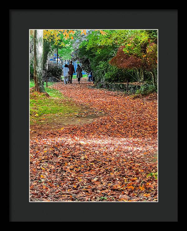 Walk along the park - Framed Print