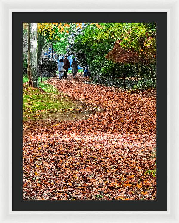 Walk along the park - Framed Print