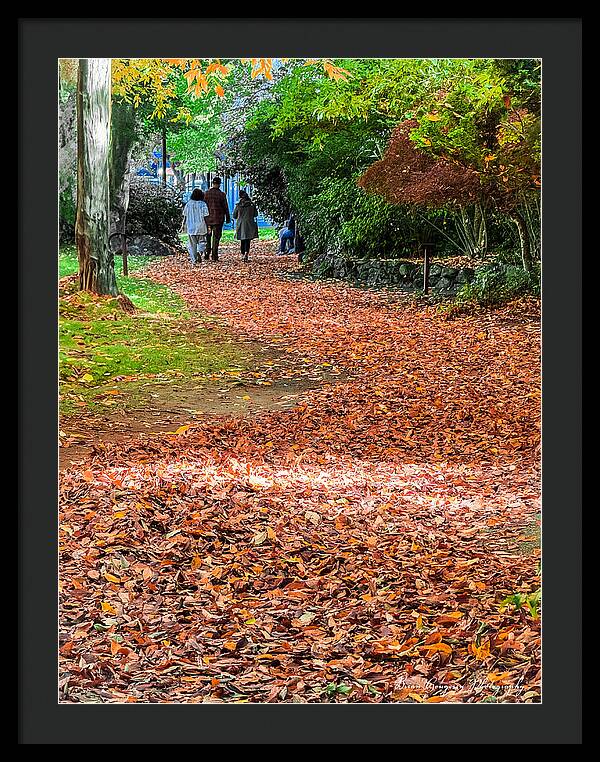 Walk along the park - Framed Print