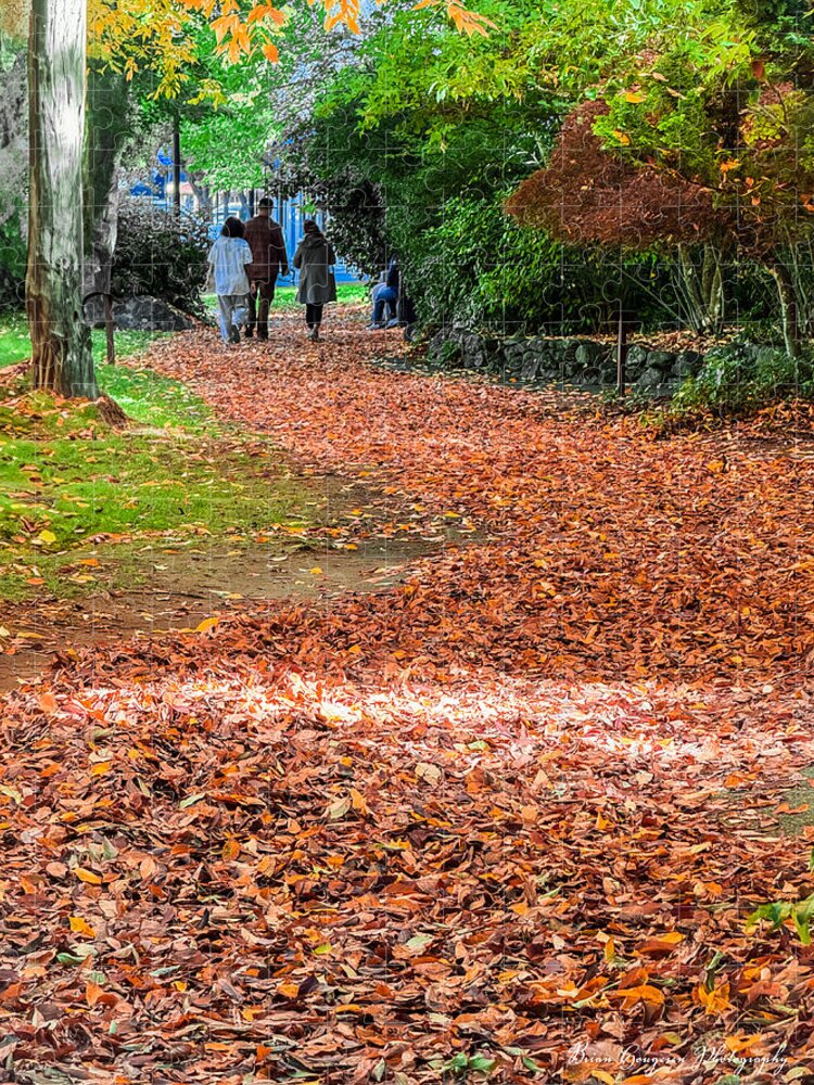 Walk along the park - Puzzle