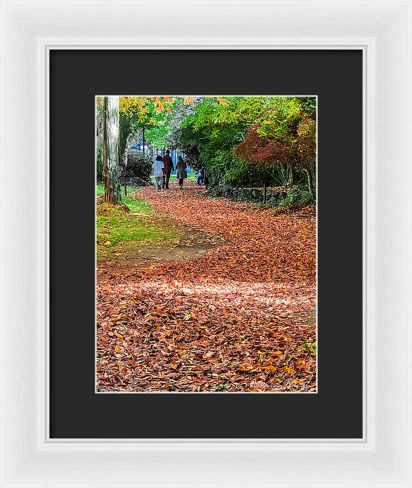 Walk along the park - Framed Print