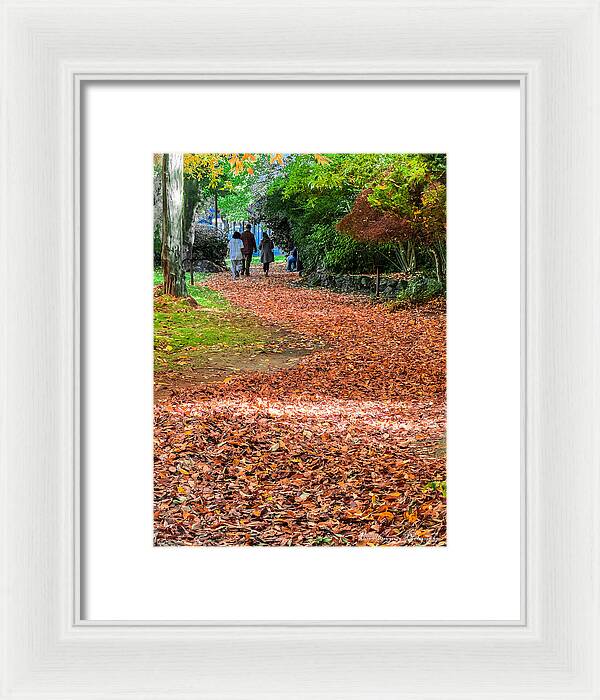 Walk along the park - Framed Print
