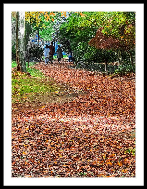 Walk along the park - Framed Print
