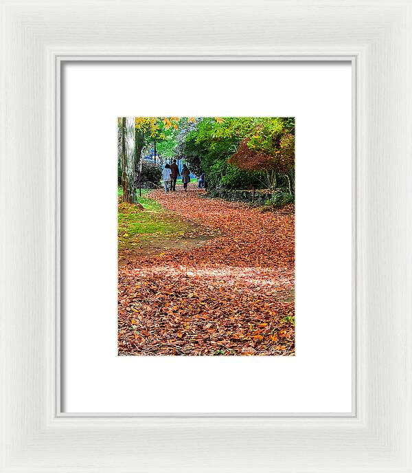 Walk along the park - Framed Print