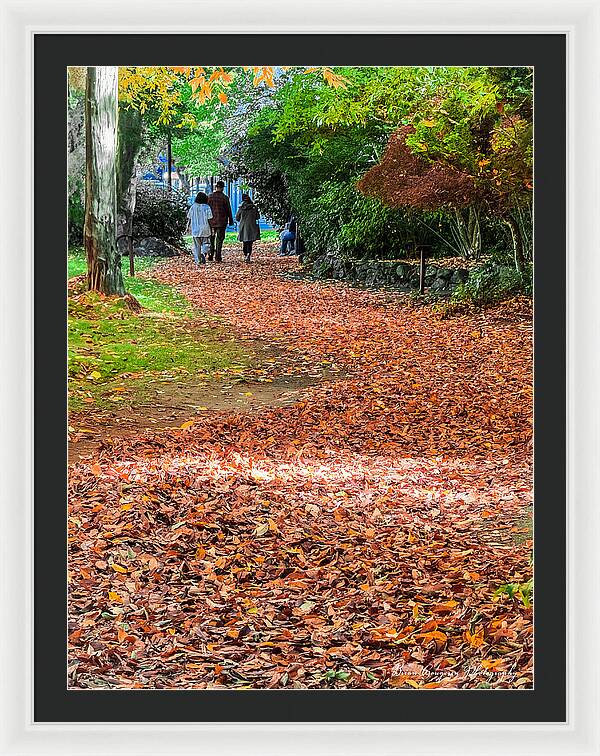 Walk along the park - Framed Print