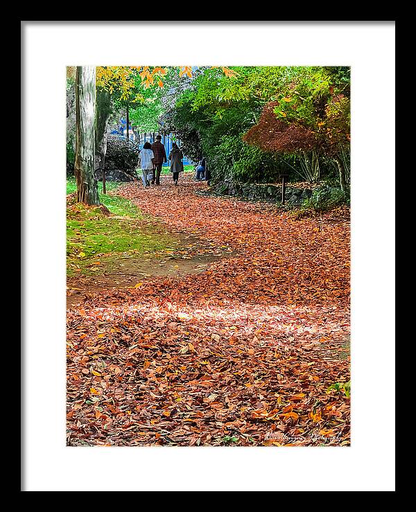 Walk along the park - Framed Print