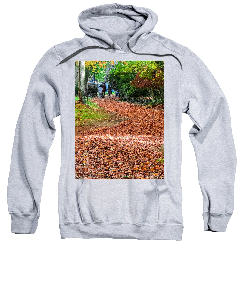 Walk along the park - Sweatshirt