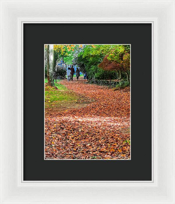 Walk along the park - Framed Print