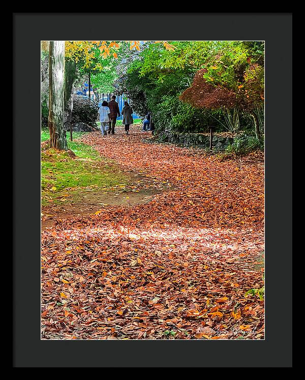 Walk along the park - Framed Print