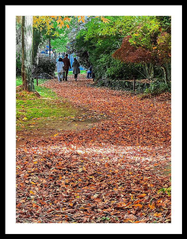 Walk along the park - Framed Print