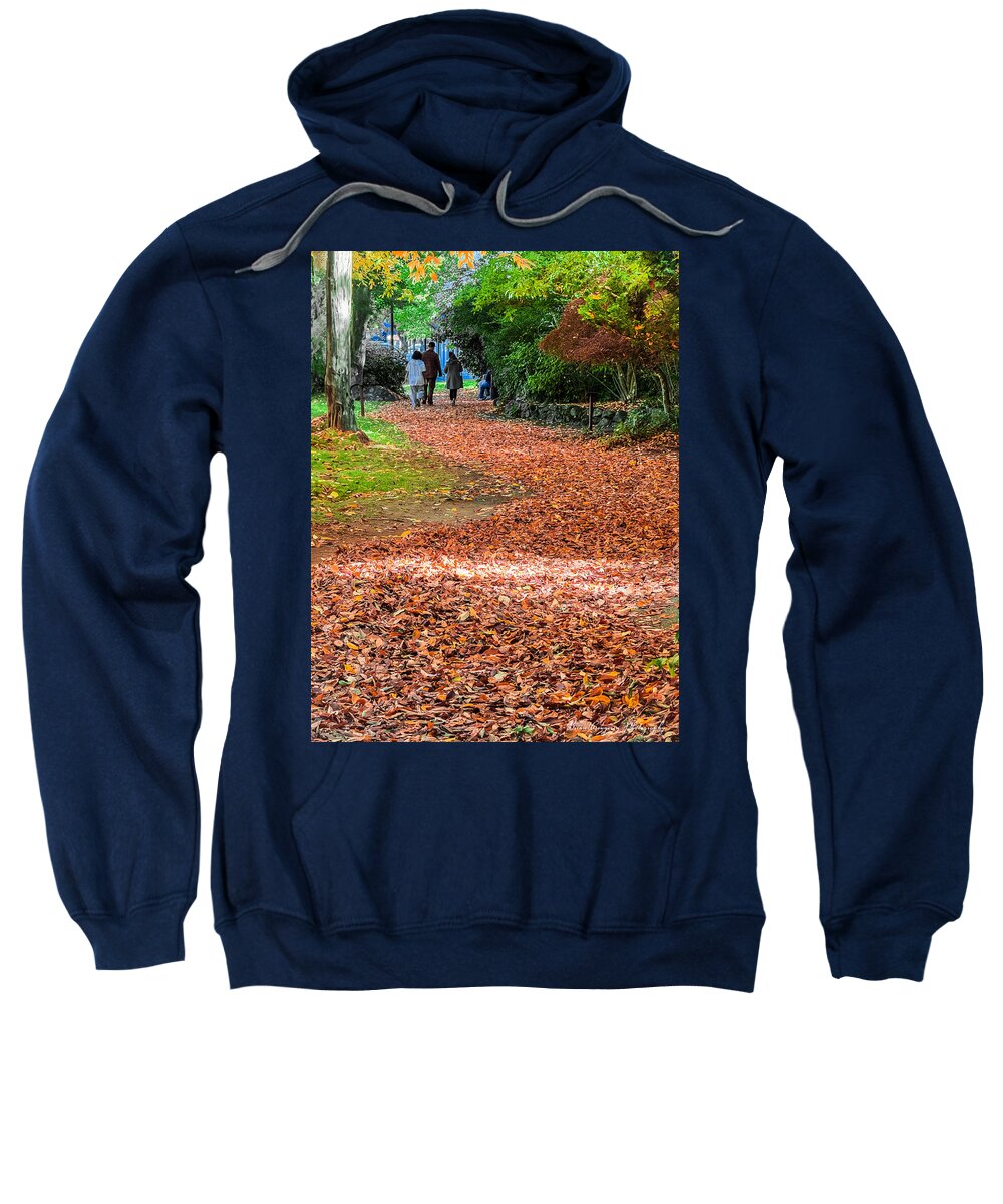Walk along the park - Sweatshirt