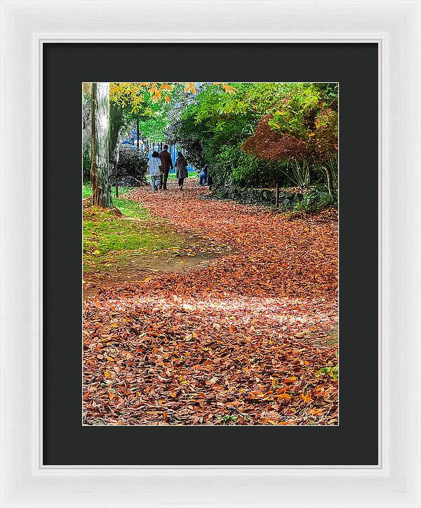 Walk along the park - Framed Print
