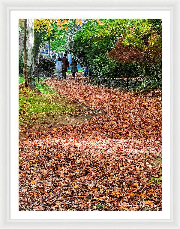 Walk along the park - Framed Print
