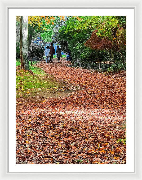 Walk along the park - Framed Print