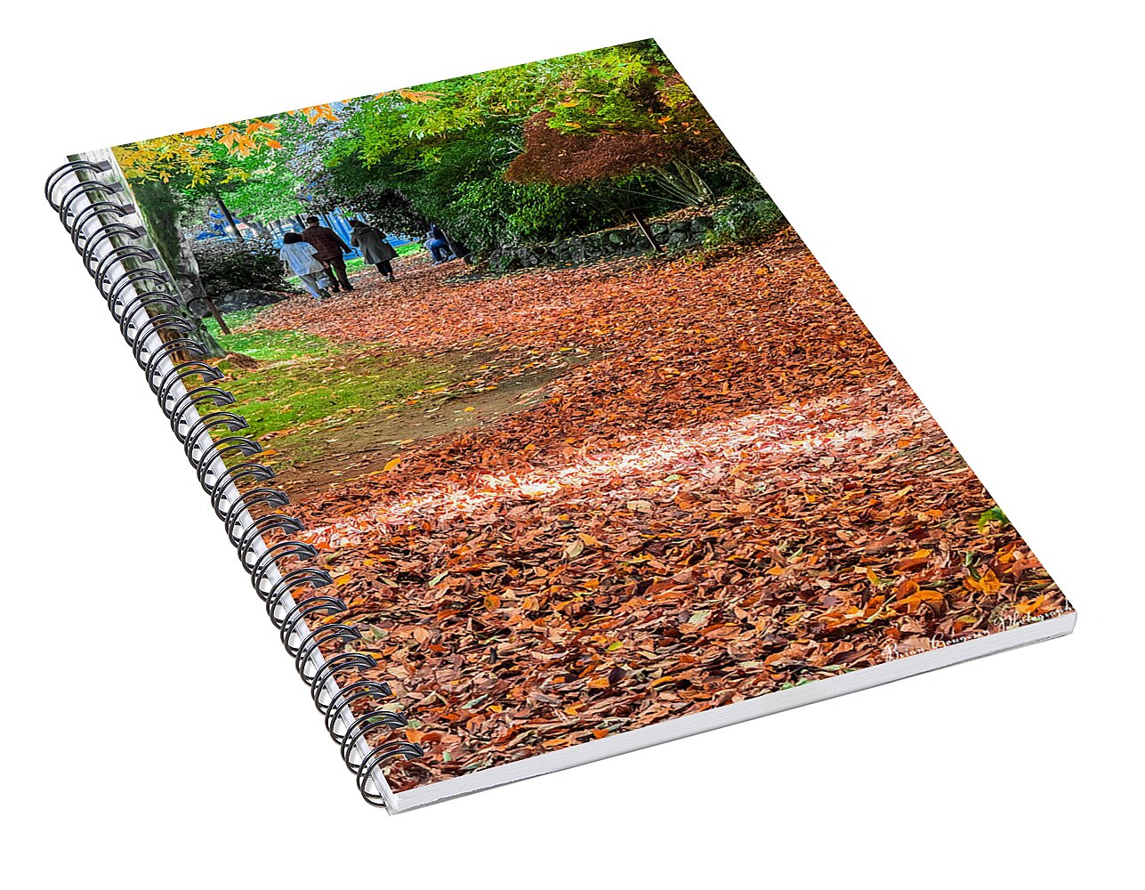 Walk along the park - Spiral Notebook