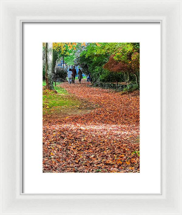 Walk along the park - Framed Print