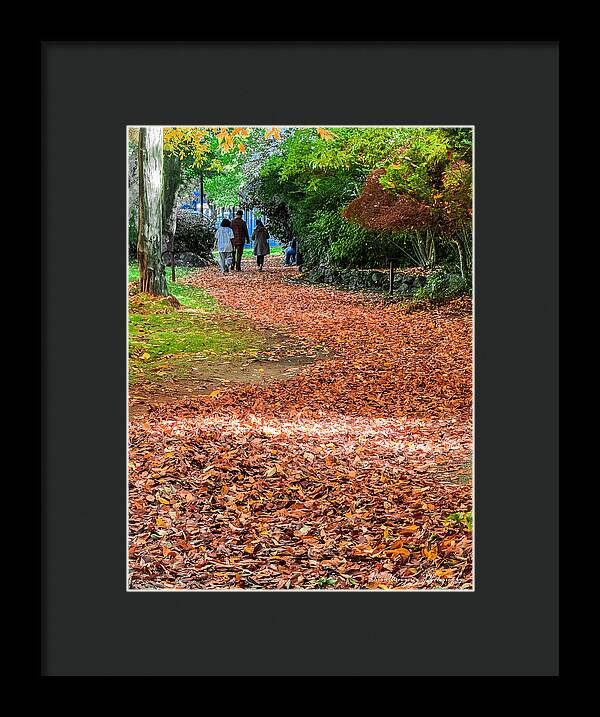 Walk along the park - Framed Print