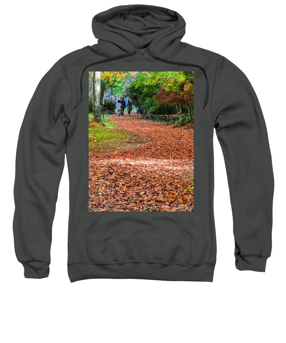Walk along the park - Sweatshirt