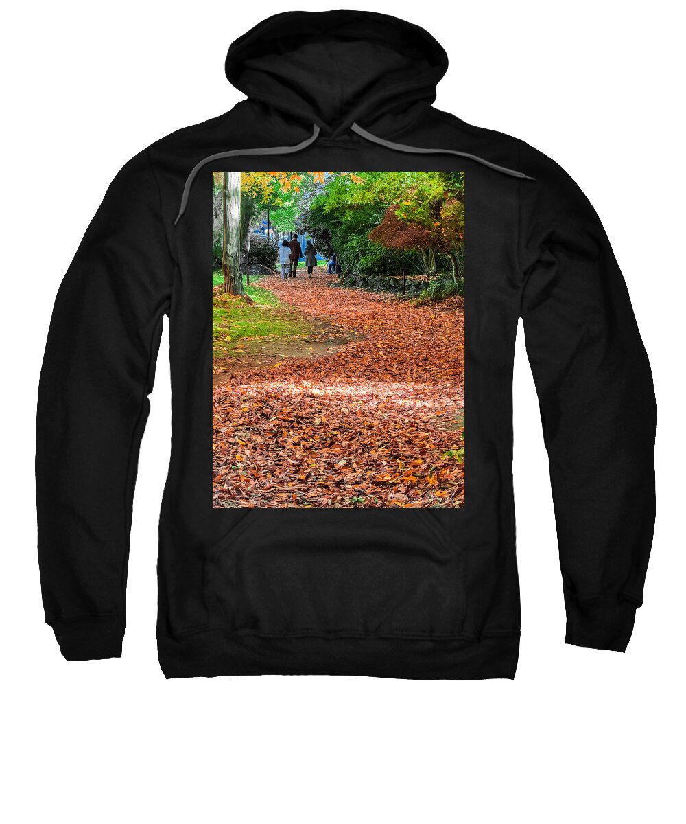 Walk along the park - Sweatshirt