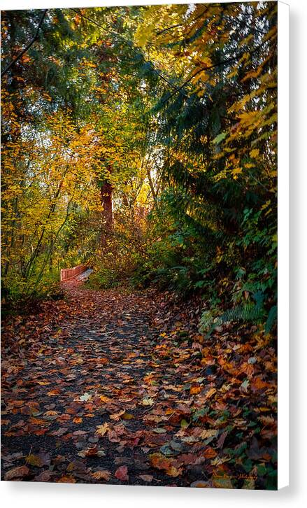 Walk in the park - Canvas Print